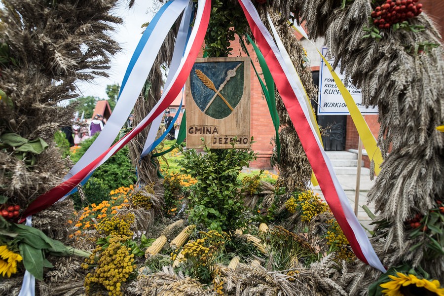 Dożynki wojewódzkie, Świecie 2017, fot. Tymon Markowski