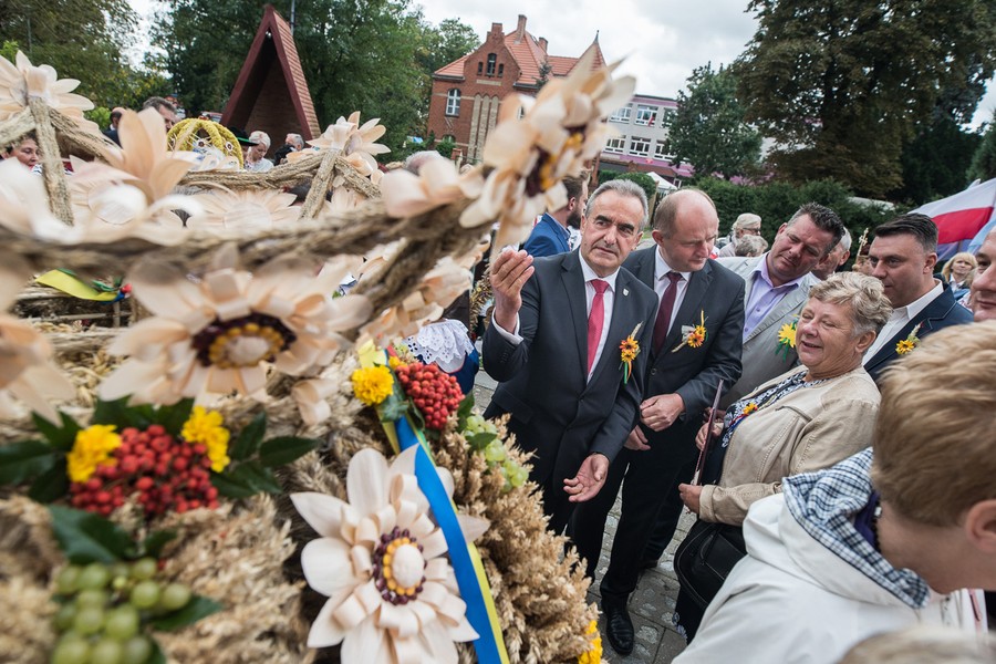 Dożynki wojewódzkie, Świecie 2017, fot. Tymon Markowski