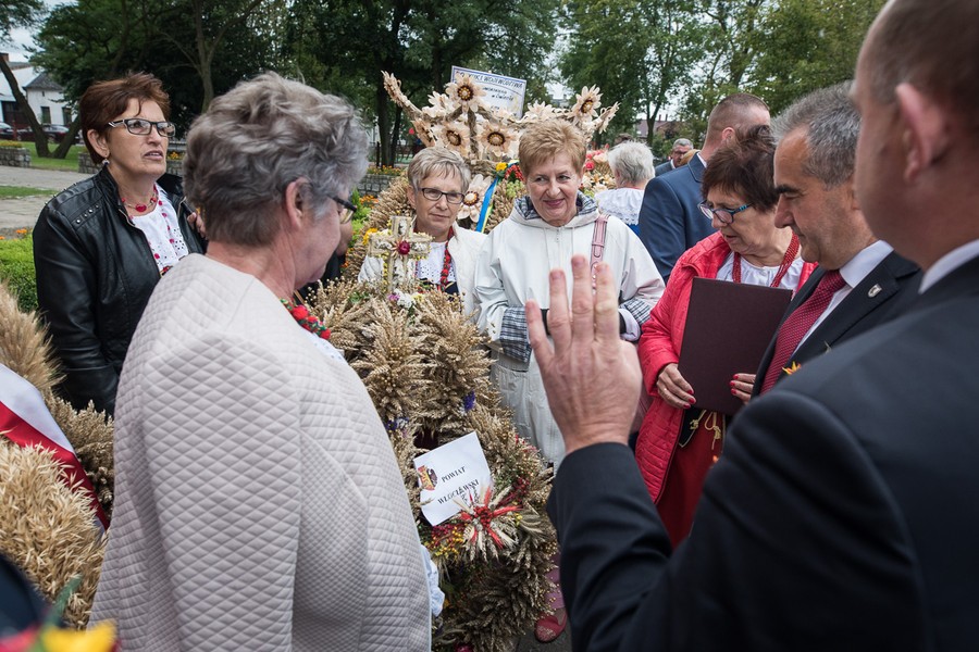 Dożynki wojewódzkie, Świecie 2017, fot. Tymon Markowski