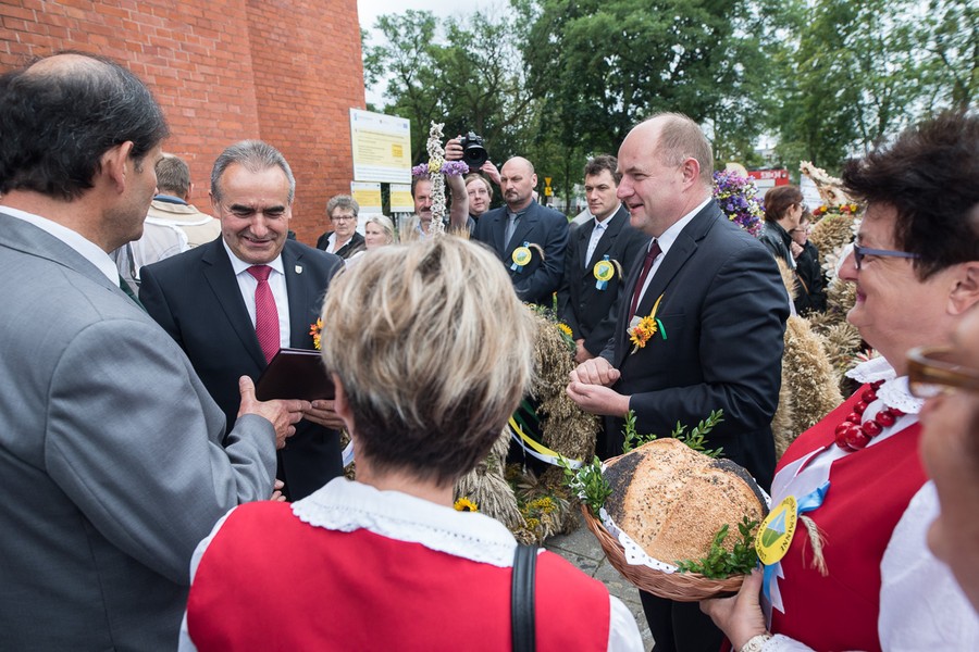 Dożynki wojewódzkie, Świecie 2017, fot. Tymon Markowski