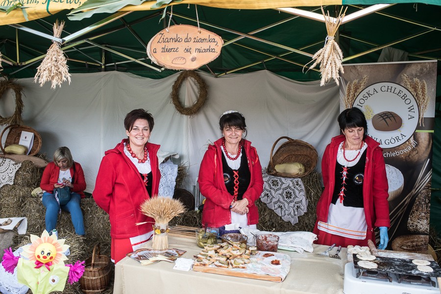 Dożynki wojewódzkie, Świecie 2017, fot. Tymon Markowski