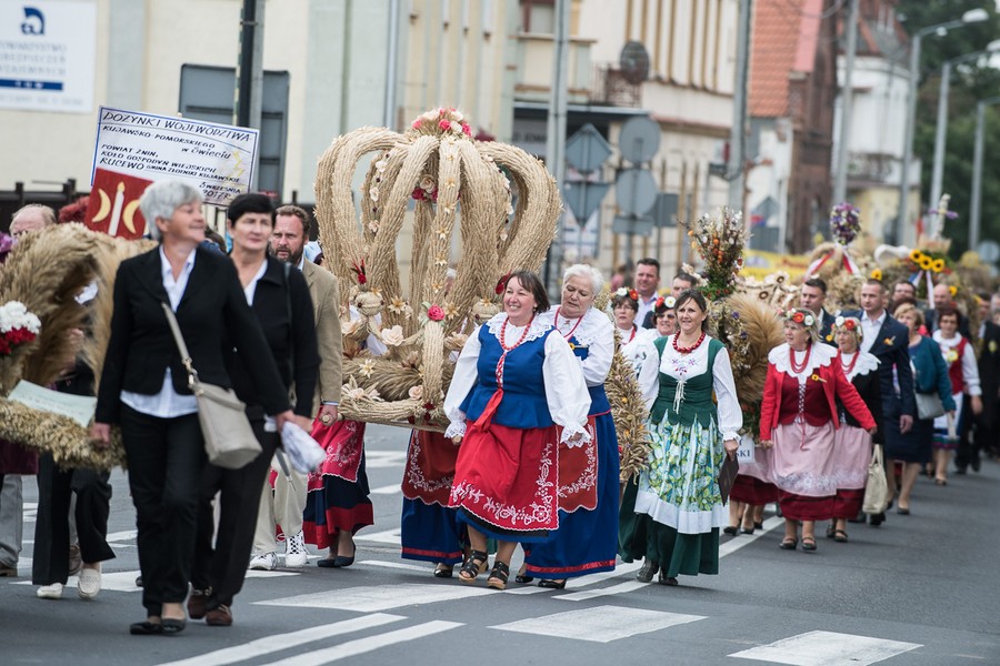 Dożynki wojewódzkie, Świecie 2017, fot. Tymon Markowski