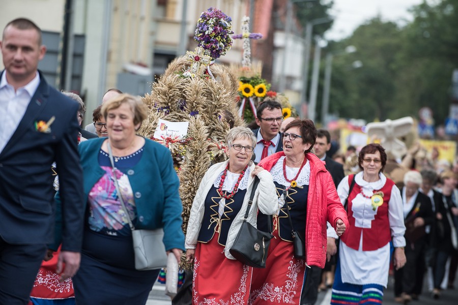 Dożynki wojewódzkie, Świecie 2017, fot. Tymon Markowski