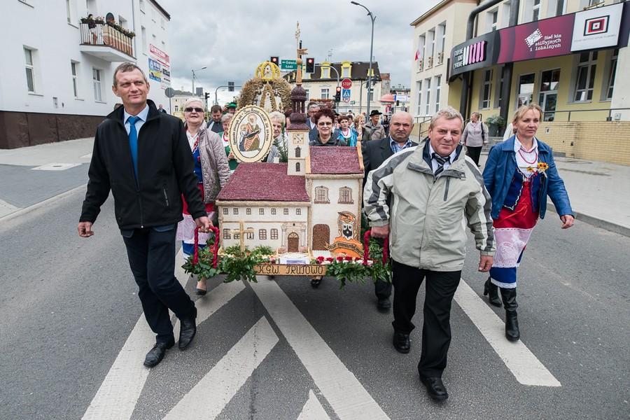Dożynki wojewódzkie, Świecie 2017, fot. Tymon Markowski