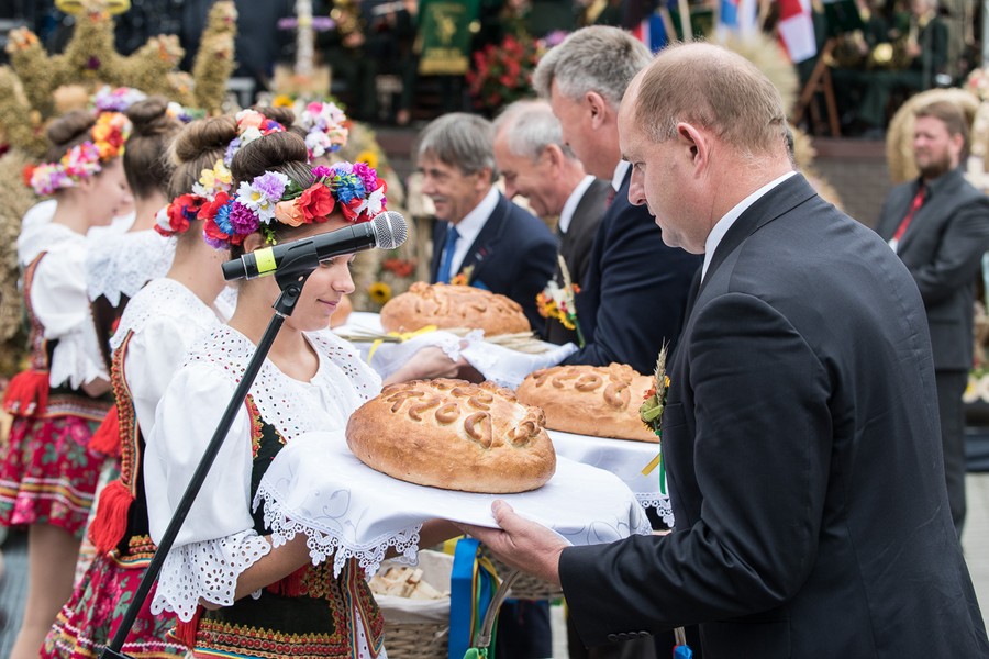 Dożynki wojewódzkie, Świecie 2017, fot. Tymon Markowski