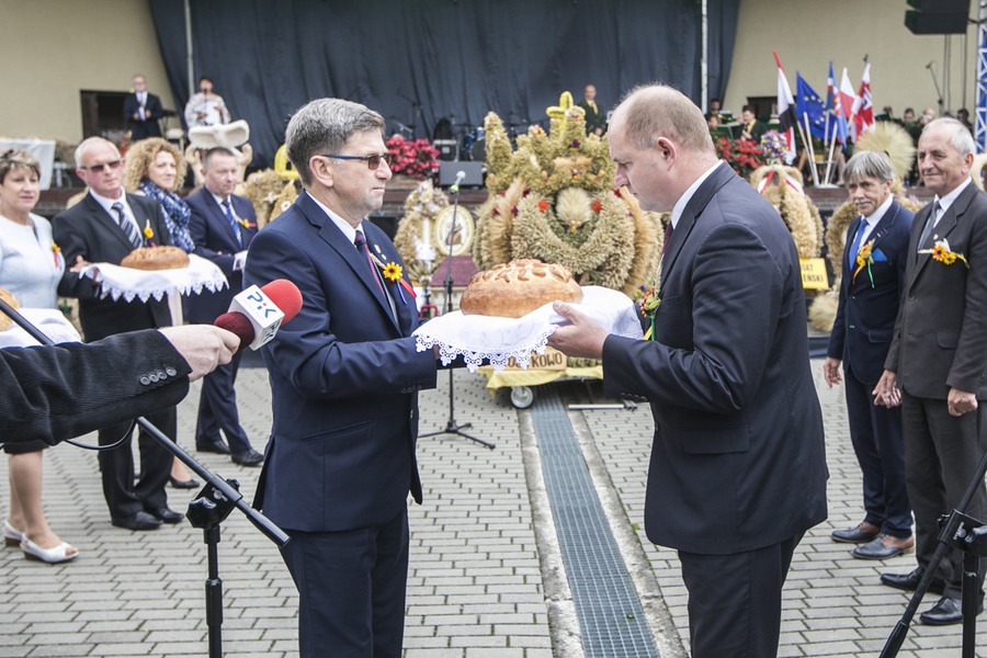 Dożynki wojewódzkie, Świecie 2017, fot. Andrzej Goiński