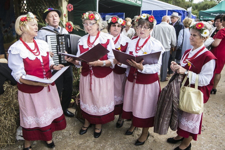 Dożynki wojewódzkie, Świecie 2017, fot. Andrzej Goiński