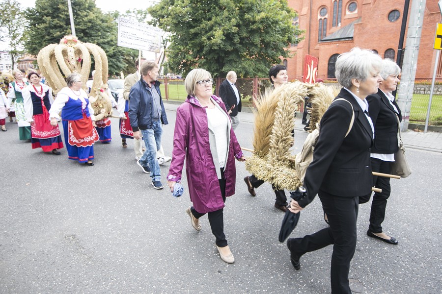 Dożynki wojewódzkie, Świecie 2017, fot. Andrzej Goiński