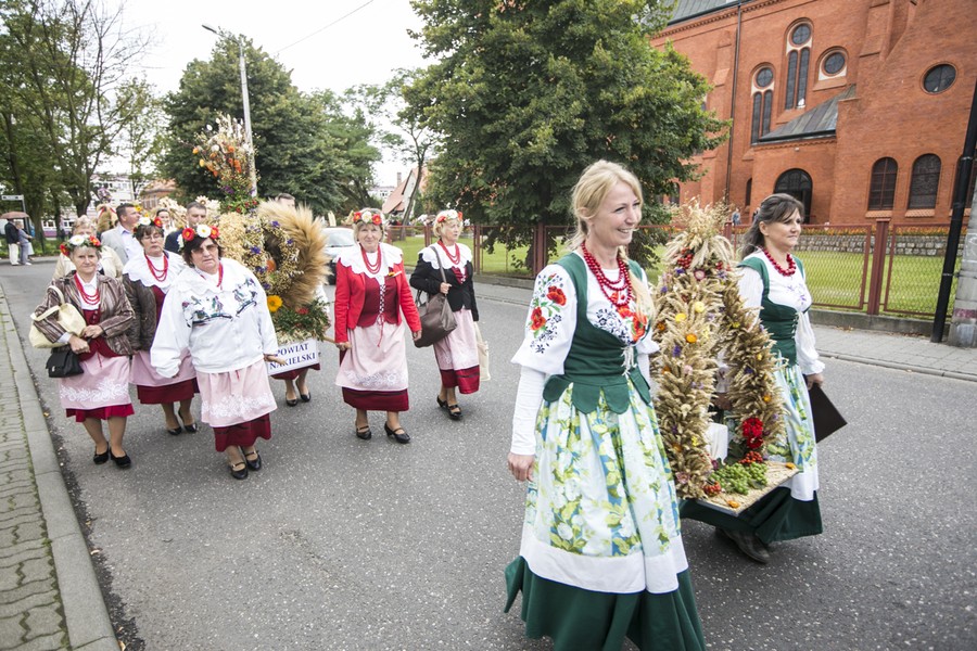 Dożynki wojewódzkie, Świecie 2017, fot. Andrzej Goiński