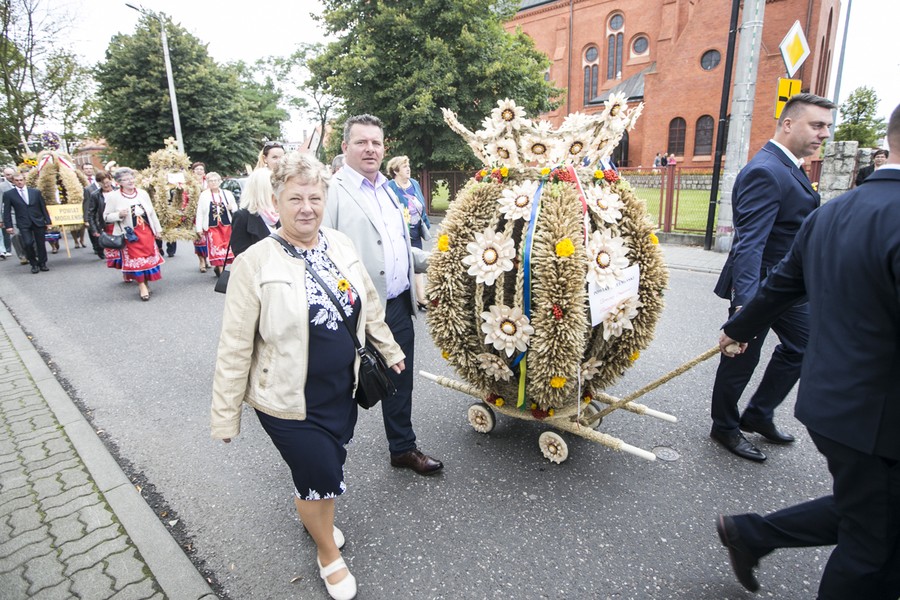 Dożynki wojewódzkie, Świecie 2017, fot. Andrzej Goiński