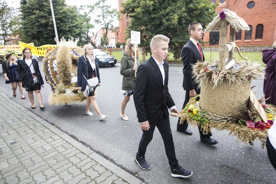 Dożynki wojewódzkie, Świecie 2017, fot. Andrzej Goiński