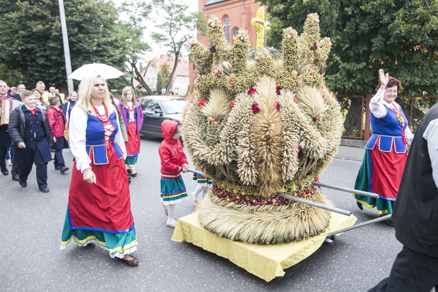 Dożynki wojewódzkie, Świecie 2017, fot. Andrzej Goiński