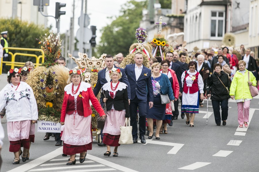 Dożynki wojewódzkie, Świecie 2017, fot. Andrzej Goiński