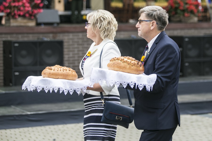 Dożynki wojewódzkie, Świecie 2017, fot. Andrzej Goiński