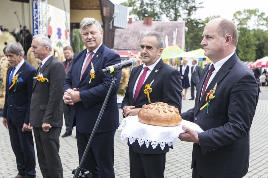 Dożynki wojewódzkie, Świecie 2017, fot. Andrzej Goiński