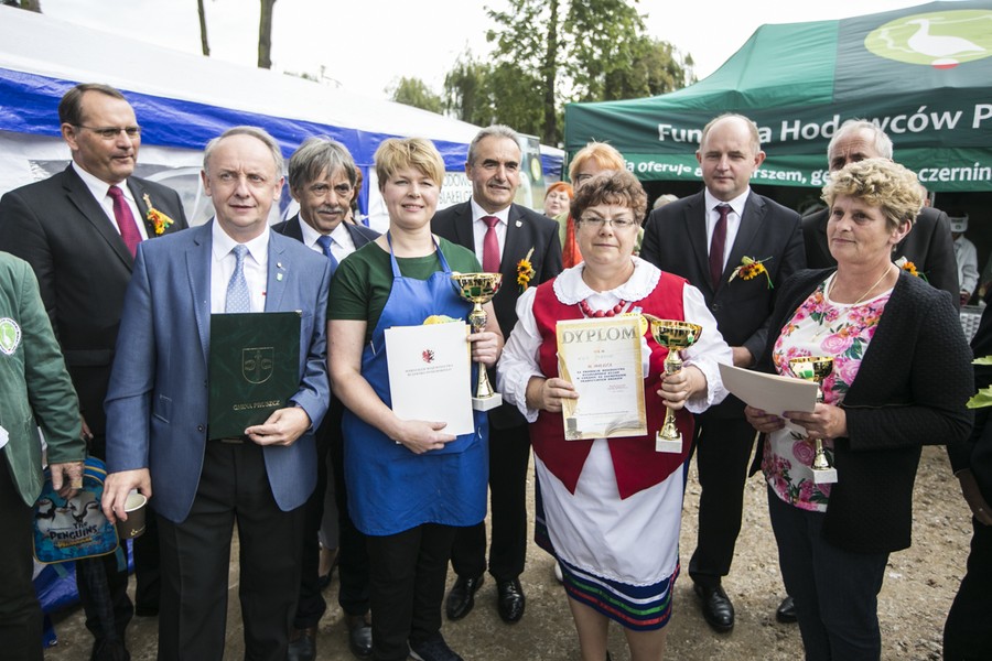 Dożynki wojewódzkie, Świecie 2017, fot. Andrzej Goiński