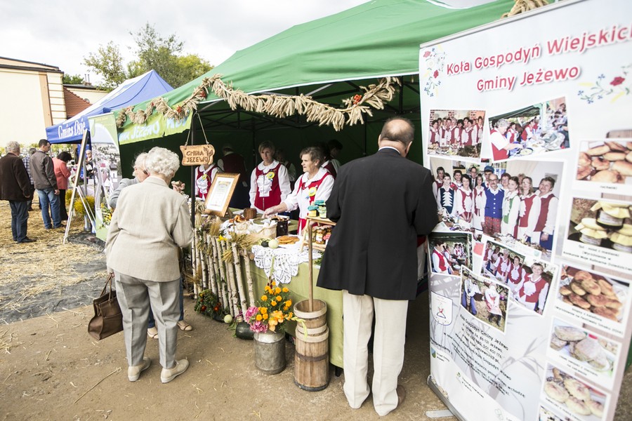 Dożynki wojewódzkie, Świecie 2017, fot. Andrzej Goiński