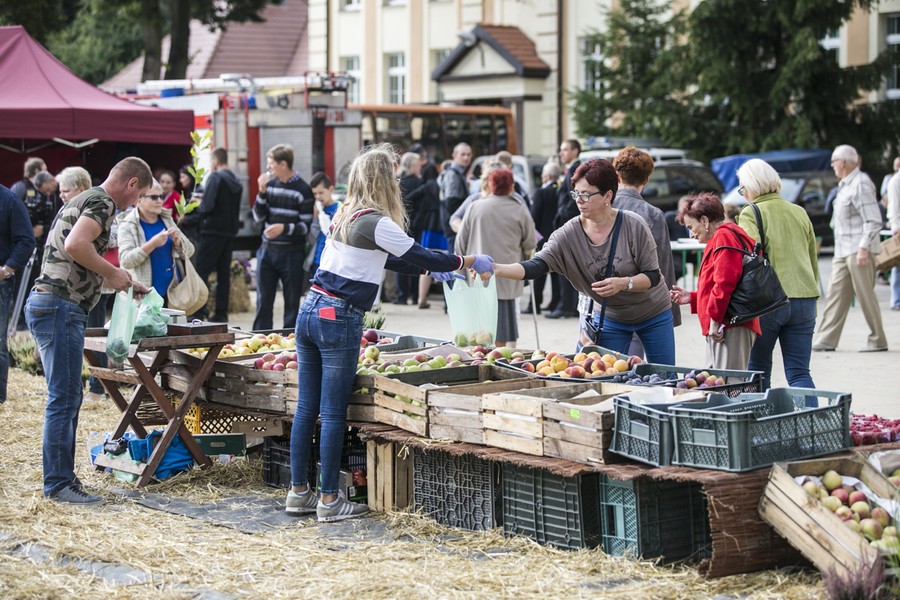 Dożynki wojewódzkie, Świecie 2017, fot. Andrzej Goiński