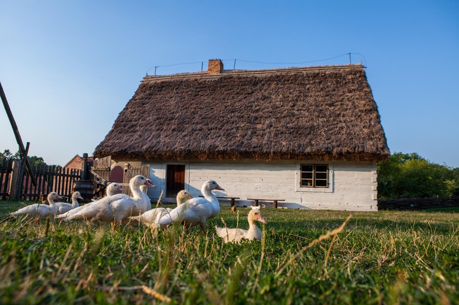 Z Paszportem Turystycznym zapraszamy do Włocławka i jego okolic, fot. K-POT