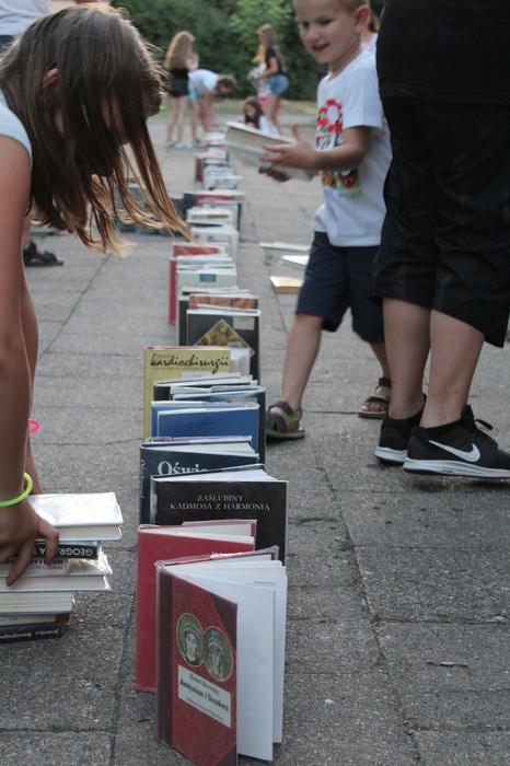 Domino-labirynt z książek