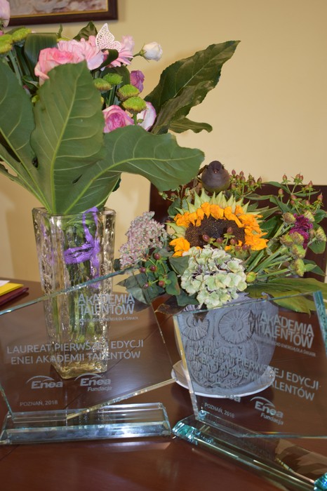 Statuetki konkursu ENEA Akademia Talentów 2018; Foto Jacek Knychała, Na ciemnobrązowym biurku - w tle dwa bukiety kolorowych kwiatów - stoją obok siebie dwie szklane statuetki konkursu Enea Akademia Talentów 2018, z białym dużym drukowanym napisem każda: LAUREAT PIERWSZEJ EDYCJI ENEI AKADEMII TALENTÓW