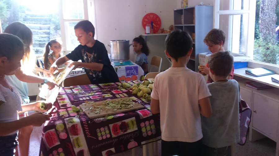 Przygotowanie kompotu z owoców ze szkolnego sadu