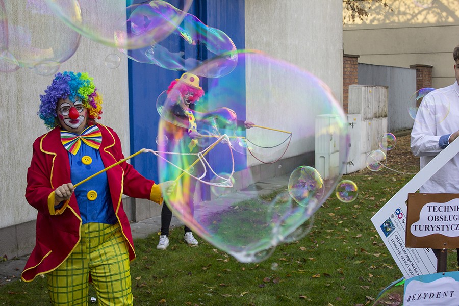 Pokazy w czasie festiwalu