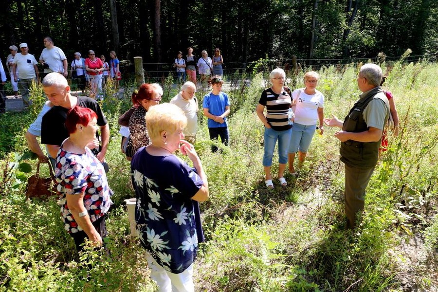 warsztaty terenowe związane z obchodami Międzynarodowego Dnia Pszczół