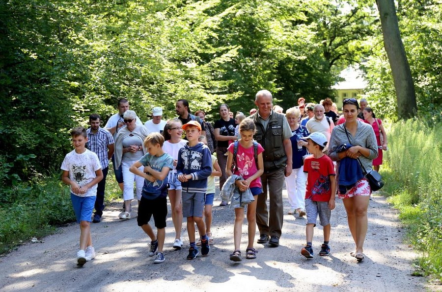 warsztaty terenowe związane z obchodami Międzynarodowego Dnia Pszczół