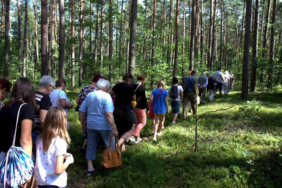 warsztaty terenowe związane z obchodami Międzynarodowego Dnia Pszczół