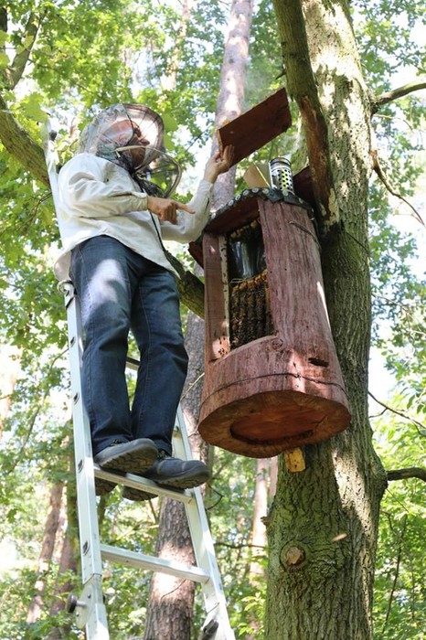 warsztaty terenowe związane z obchodami Międzynarodowego Dnia Pszczół