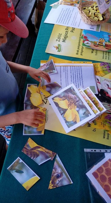 Wielki Dzień Pszczół w Osiu