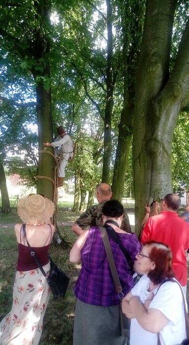 Wielki Dzień Pszczół w Osiu