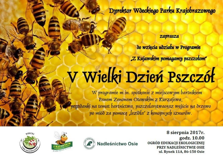 Wielki Dzień Pszczół w Osiu - plakat