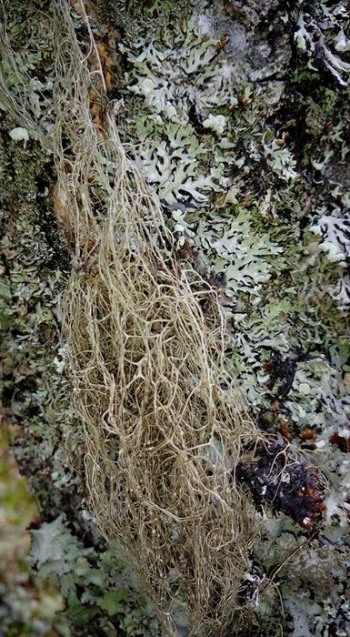 Zieloni edukatorzy odkrywają tajemnice grzybów - szkolenie ED-EK