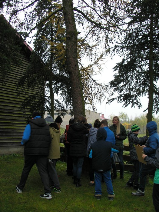 W dniu 10.11.2017 w Osiu gościła grupa uczniów ze Szkoły Podstawowej nr 7 ze Świecia