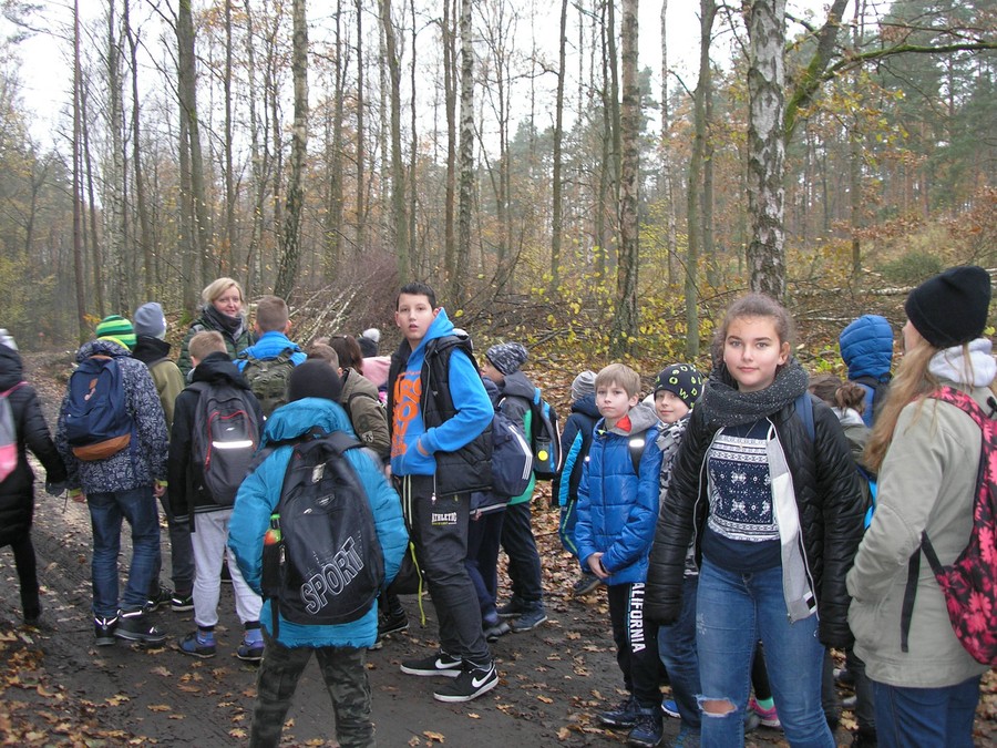 W dniu 10.11.2017 w Osiu gościła grupa uczniów ze Szkoły Podstawowej nr 7 ze Świecia