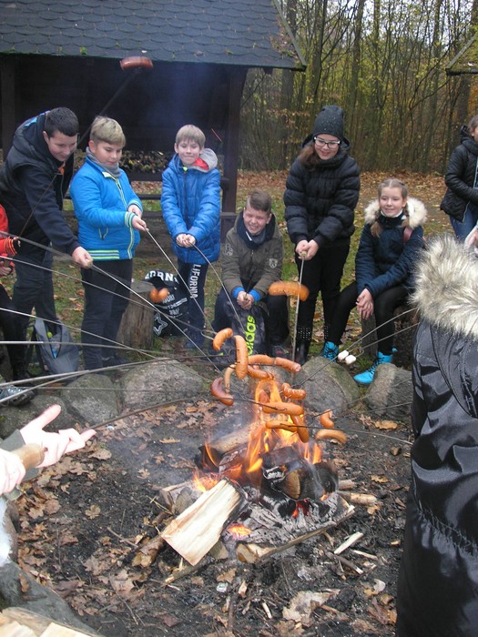 W dniu 10.11.2017 w Osiu gościła grupa uczniów ze Szkoły Podstawowej nr 7 ze Świecia