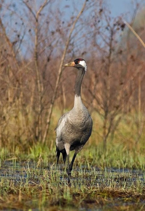 fot. Piotr Twardowski