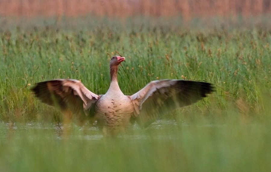 fot. Piotr Twardowski