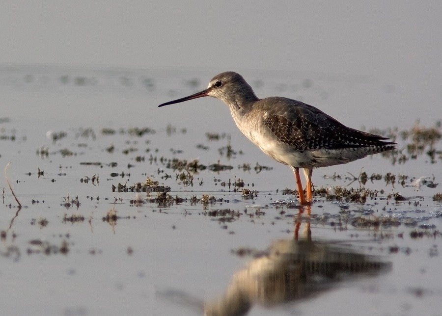 fot. Piotr Twardowski