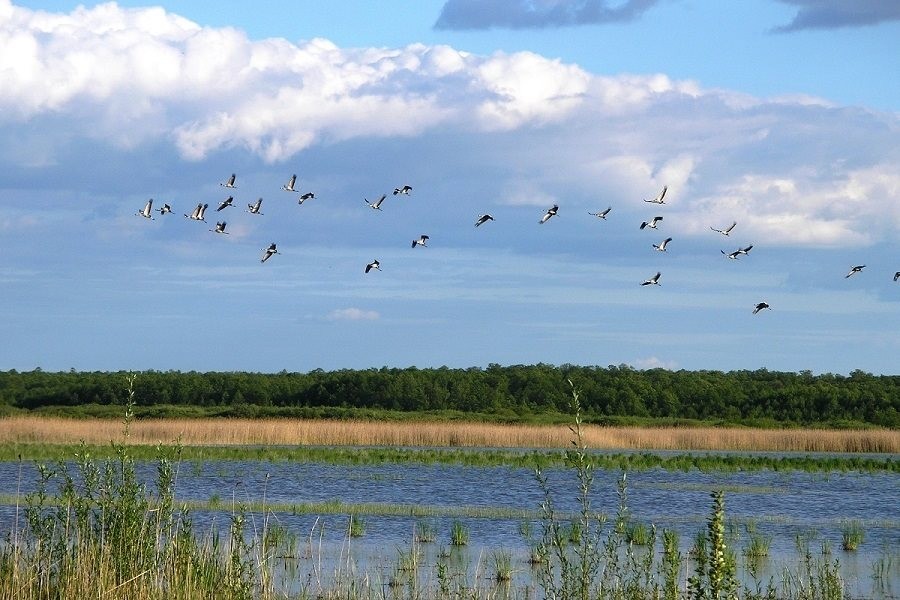 fot. Piotr Twardowski