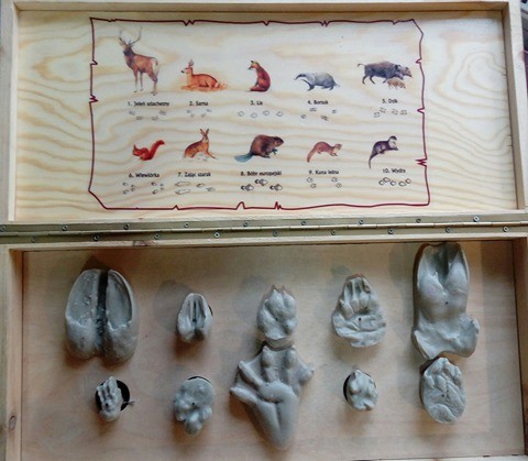 spotkanie z zielonym edukatorem WPK