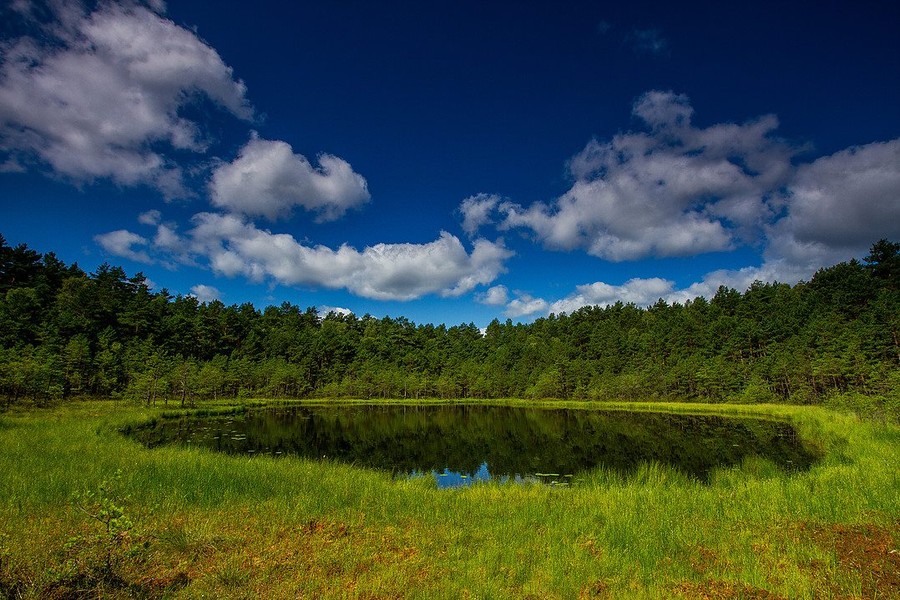 Rezerwat Dury latem fot. Piotr Szumigaj