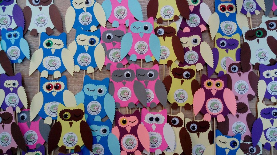 Noc sów - 26.03.2018