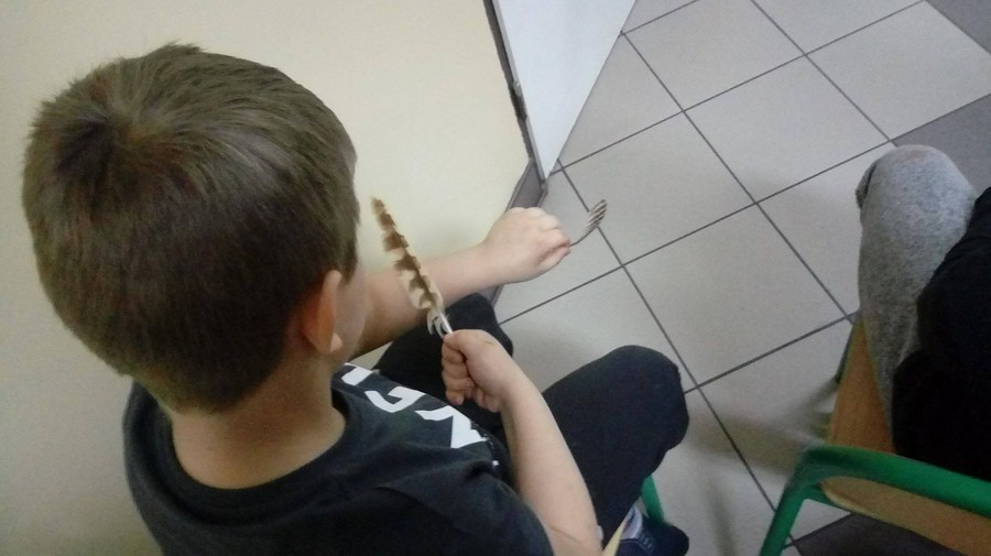 Noc sów - 26.03.2018