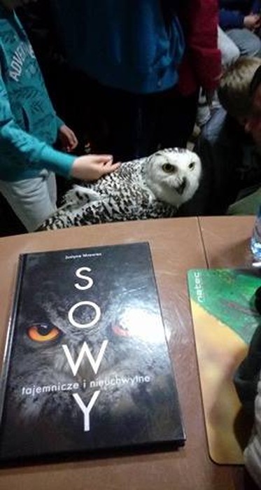 Noc sów - 26.03.2018