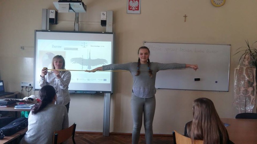 Ptasie sprawy - 19.03.2018