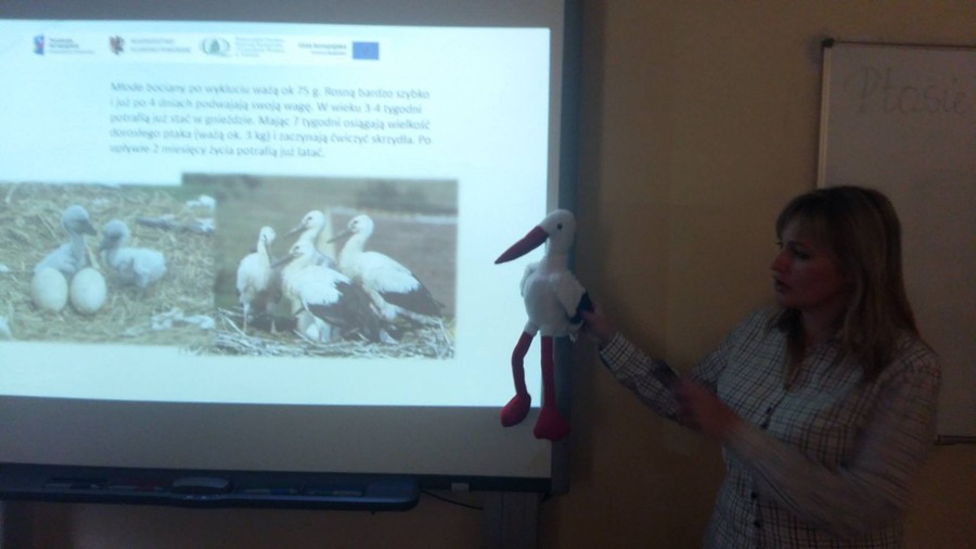 Ptasie sprawy - 19.03.2018