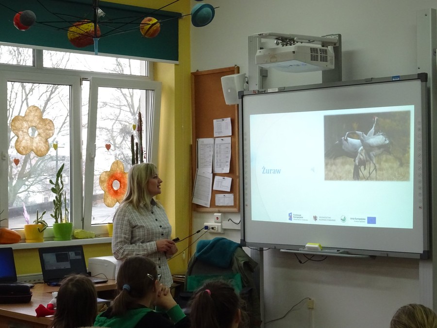 Ptasie sprawy - 19.03.2018